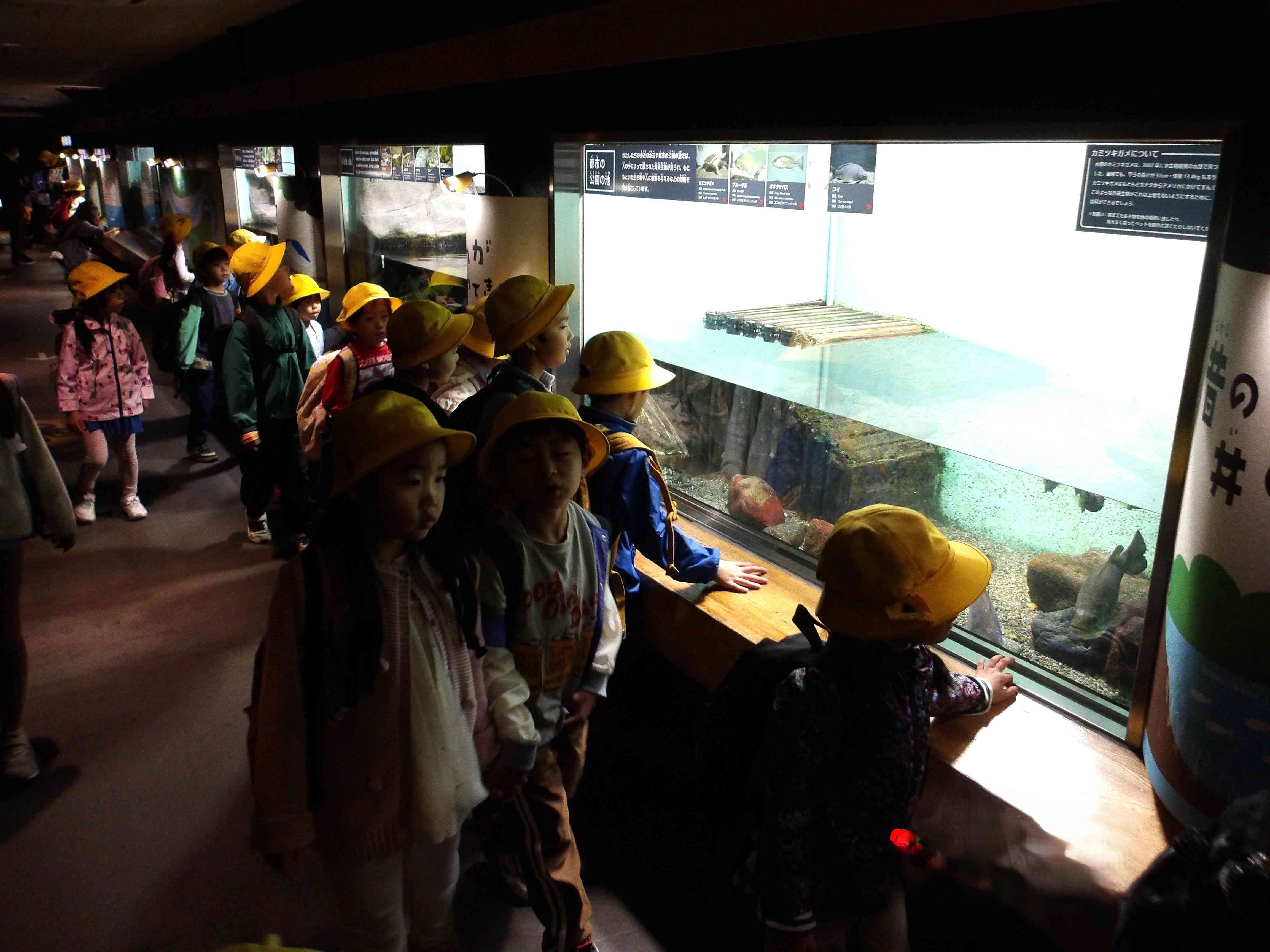 １年生「遠足」②