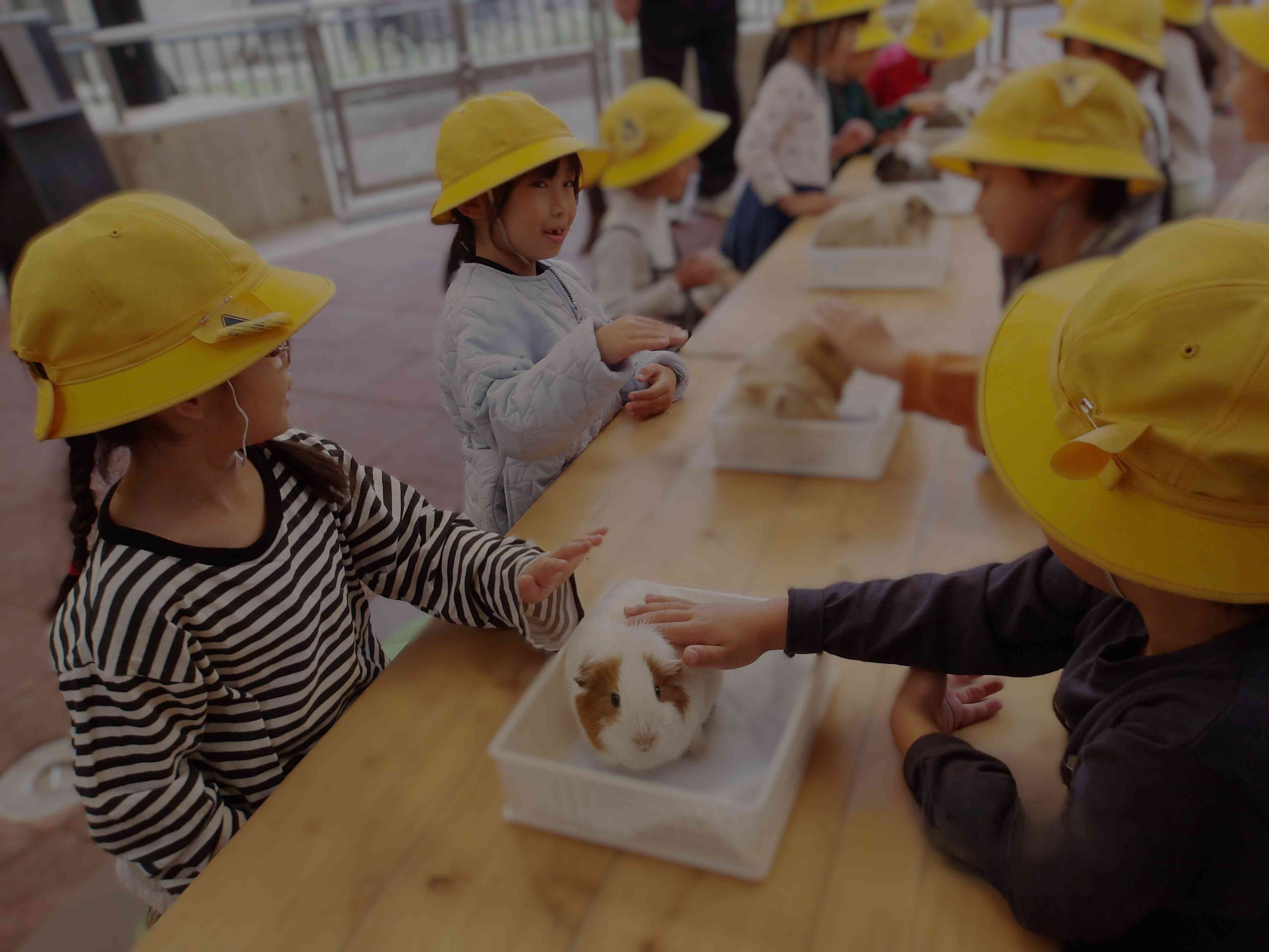 １年生「遠足」①